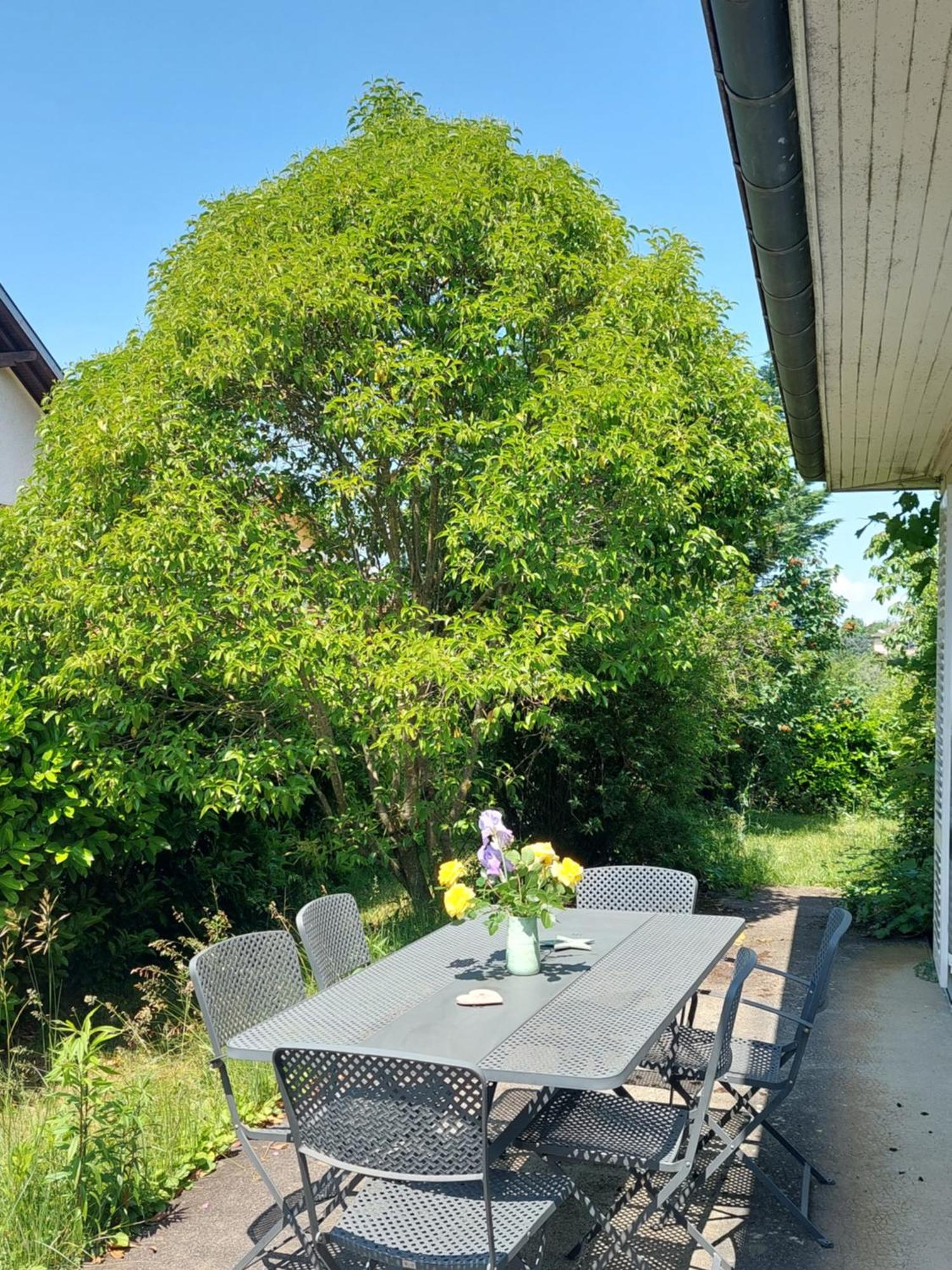 Villa Maison Independante Aix-les-Bains